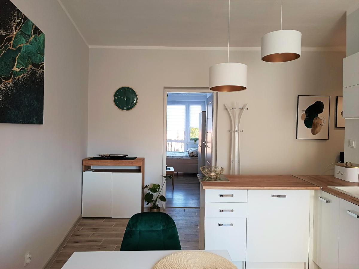 Szmaragdowy Apartament Przy Ulicy Opolskiej タルノフスキェ・グルィ エクステリア 写真