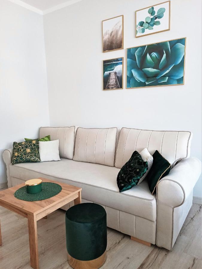 Szmaragdowy Apartament Przy Ulicy Opolskiej タルノフスキェ・グルィ エクステリア 写真
