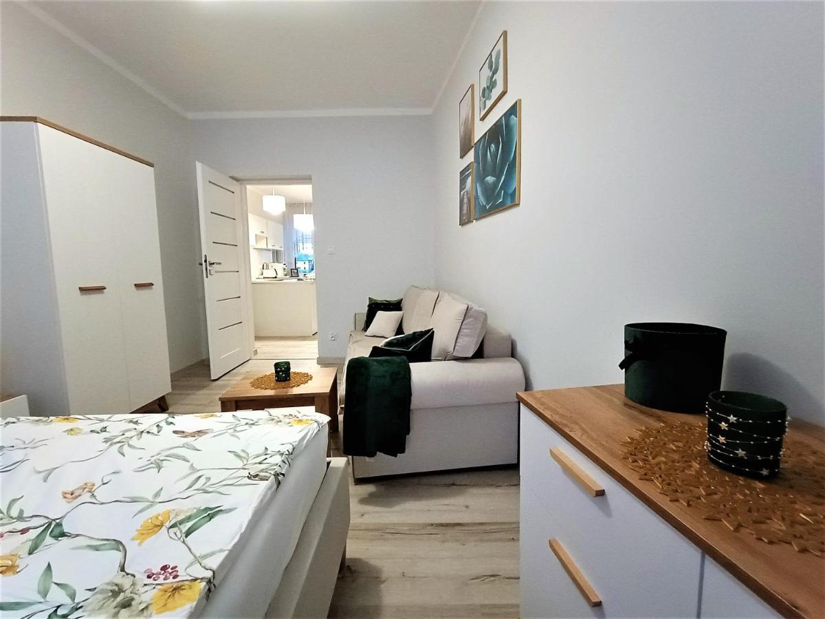 Szmaragdowy Apartament Przy Ulicy Opolskiej タルノフスキェ・グルィ エクステリア 写真