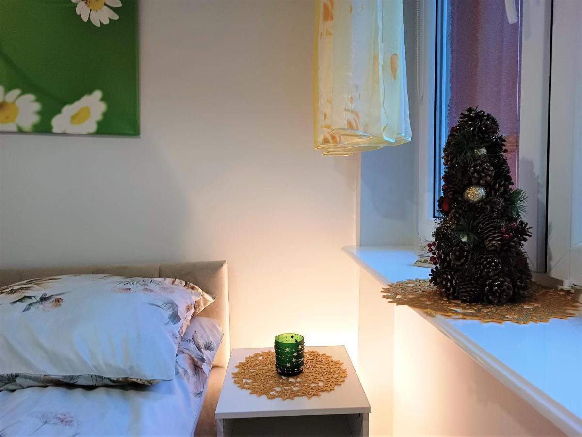 Szmaragdowy Apartament Przy Ulicy Opolskiej タルノフスキェ・グルィ エクステリア 写真