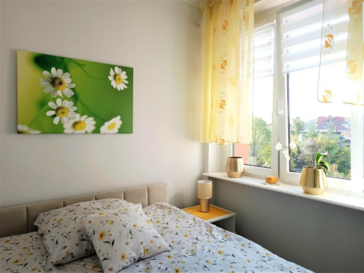 Szmaragdowy Apartament Przy Ulicy Opolskiej タルノフスキェ・グルィ エクステリア 写真