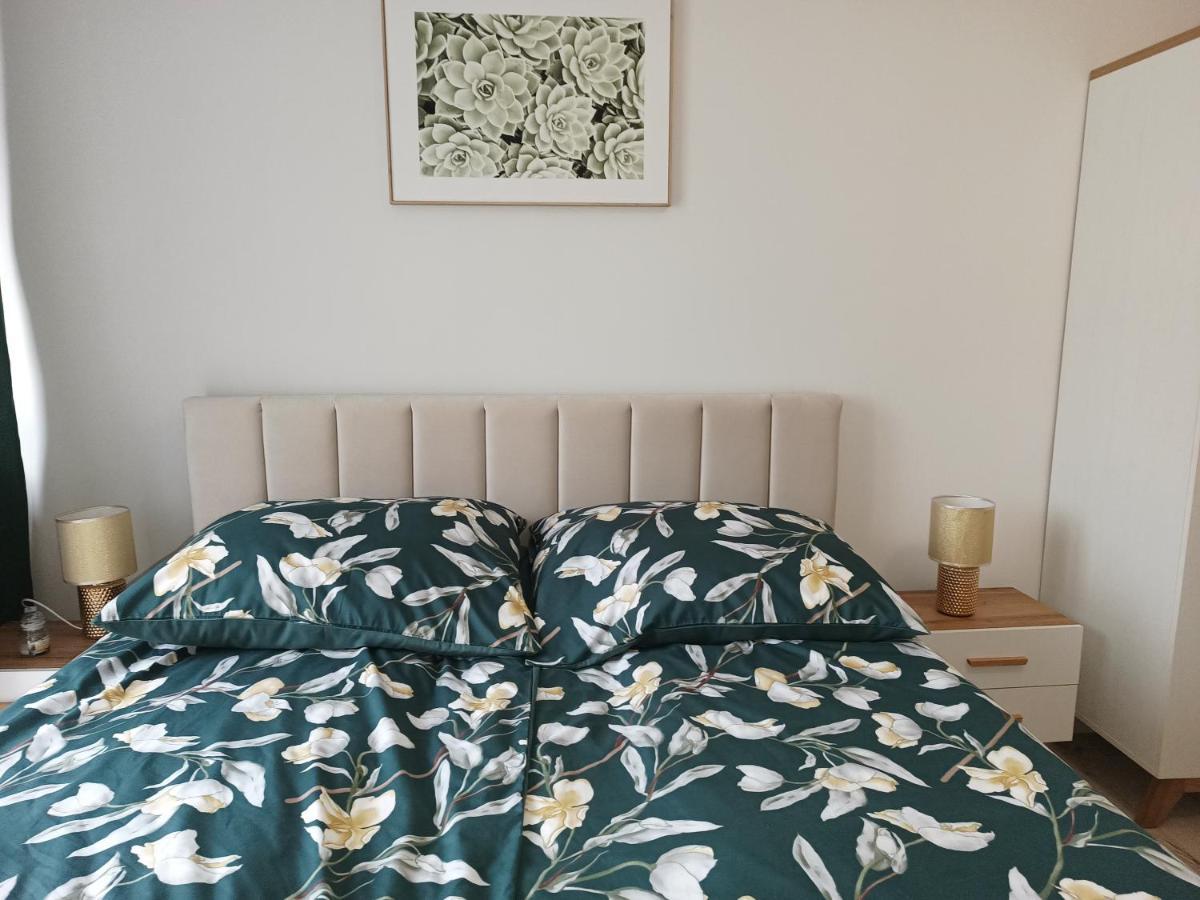 Szmaragdowy Apartament Przy Ulicy Opolskiej タルノフスキェ・グルィ エクステリア 写真