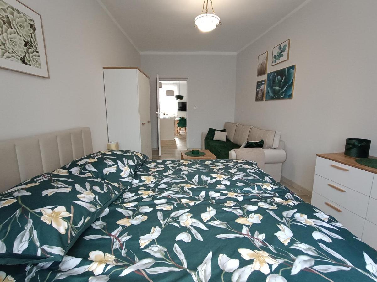 Szmaragdowy Apartament Przy Ulicy Opolskiej タルノフスキェ・グルィ エクステリア 写真