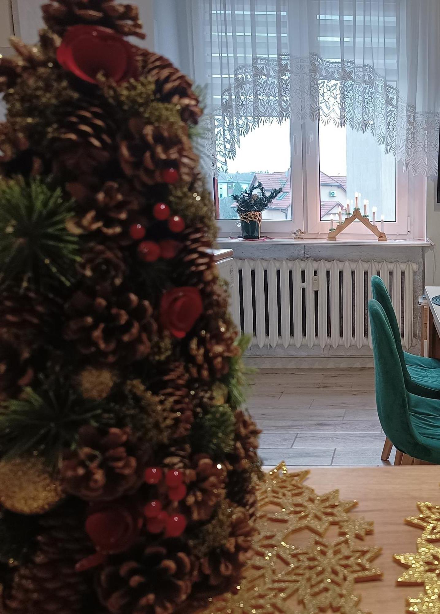 Szmaragdowy Apartament Przy Ulicy Opolskiej タルノフスキェ・グルィ エクステリア 写真